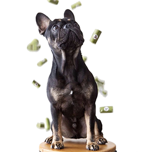 Unscented, Leak-Proof, Earth-Friendly Dog Waste Bag Poop Bags Custom Printed Wholesale Biodegradable Pet Dog Poop Bag 0