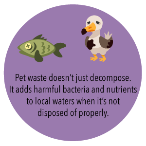 100% Biodegradable Compostable Drawstring Non Plastic Trash Bag Customized, Eco Biodegradable Compost Plastic Drawstring 2