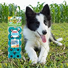 Pet Garbage Bags/Pet Waster Bags/High Quality Compostable Dog Poop Bags, Cornstarch 100% Compostable Biodegradable Dog P 3