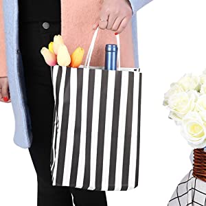 stripe paper bag