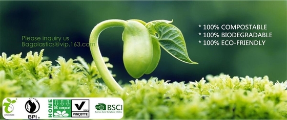 En13432 Corn Starch Based Wholesale Biodegradable 100% Compostable Bags On Roll,Cornstarch 100% Biodegradable Compostabl