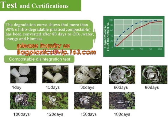 biodegradable corn starch plastic round food tray, Eco-friendly corn starch disposable 4 compartment food tray with lid