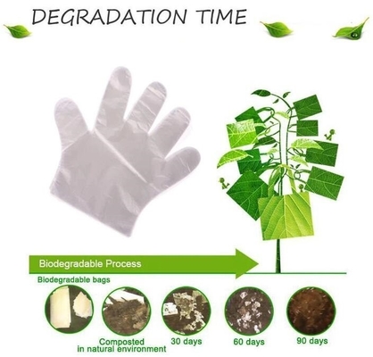 Biodegradable Compostable Gloves, eco friendly products biodegradable compostable plastic disposable transparent gloves