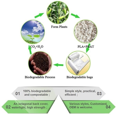 OEM cheap biodegradable kitchen disposable gloves with EN13432 BPI OK compost home ASTM D6400,eco friendly products