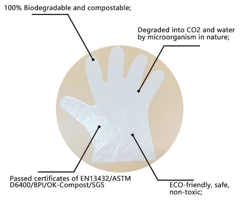 OEM cheap biodegradable kitchen disposable gloves with EN13432 BPI OK compost home ASTM D6400,eco friendly products