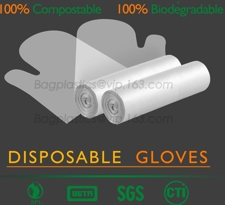 Medical Biodegradable Gloves, Corn Starch Gloves, Compostable Gloves, Disposable Gloves, Bags