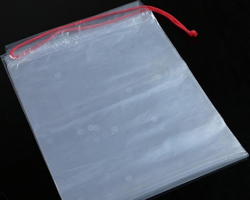Biodegradable Hanger Hook Plastic Underwear Packaging Bags With Hanger, Frosted Hook Bag Button Opening