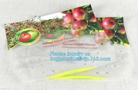 eco-friendly slider k fruit bag with air holes for grape packaging bag, slider k storage frozen bag with OEM
