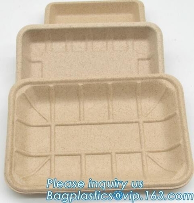 corn starch biodegradable meat tray corn starch dinnerware sets  biodegradable cake tray Rectangular Tray Paper Food Tra
