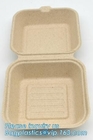 Dishes & Plates Dinnerware Blister packaging Resturant Disposable Food Serving Tray food disposable container