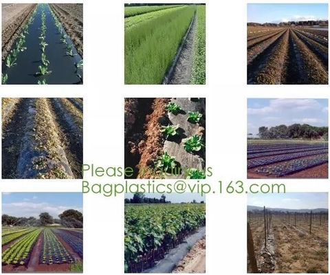 Factory Manufacturer EN13432 100% Compostable And Biodegradable Agricultural Mulch Film, Starch Plant Based Wrap Film Pa
