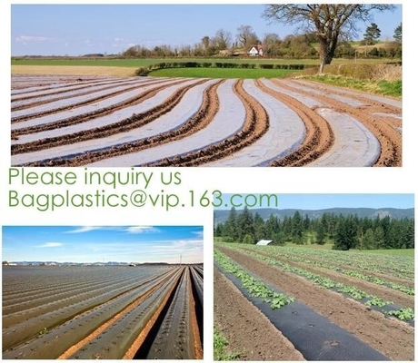 Factory Manufacturer EN13432 100% Compostable And Biodegradable Agricultural Mulch Film, Starch Plant Based Wrap Film Pa