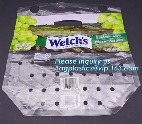 fruit bag for fruit protection, Perforated Better Aseptic Grape Bag, Cherry Bag, Fruit plastic bag, Stand up k fre