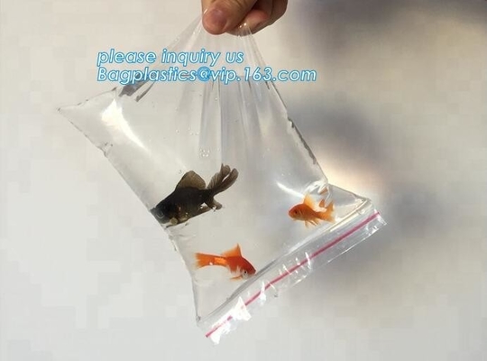 Resealable Print k Custom Printed Plastic Pill Pouch Medical Zip Lock Bags, reclosable pouch glossy stand up