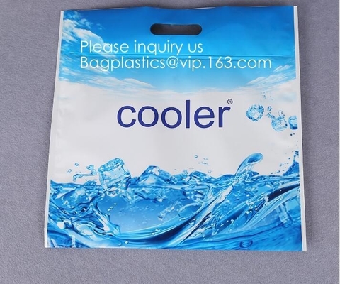 Insulated Bag | Thermal Bag | Hot Cold Bag,Insulated Easy Zip Lock Resealable Aluminum Sandwich Lunch Bag - Reusable The