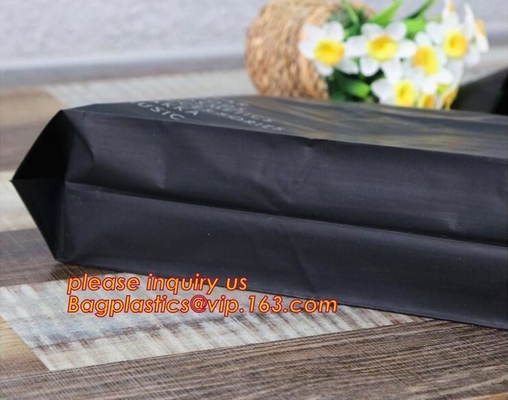 Biodegradable Handles & Cardboard Bottom, Merchandise Bags, Food Service Bags, Take Out Bags, Gift Bags Bulk