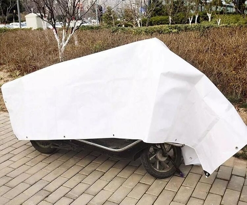 Truck Bed Tarp Cover Digital Print Tarpaulin/ Waterproof Tarp Caravan Awning Tarpaulin Plastic Sheet For Truck Cover