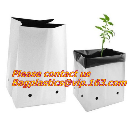 Gallon Garden Bags 1-Pack Heavy Duty Reusable Yard Leaf Bag Holder Collapsible Canvas Portable Yard Gardening Waste Bag