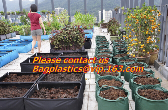 Vegetables Nursery Grow Bags, Garden Bags/Grow Bags/Hanging Plant Bags Planters Hydroponics Garden Container Planter