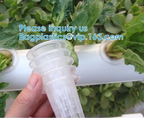 Commercial Aquaponics Growing Systems Agricultural Greenhouse Indoor Hydroponics Plant Net Basket Hydroponic Vegetable