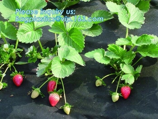 Non-Woven Vegetation Antifreeze Plant Drawstring Shrub Cold Jacket Garden Protection Bag Winter Tree Protective Cover