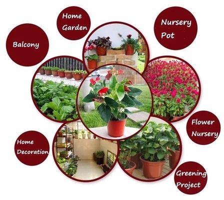 Potato Plant Pot With Plastic Material,Planting Pots Potato Basin, Hydroponic Vertical Growing Systems PP Plant Flower
