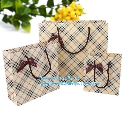 Paper carrier bags for fashion shopping paper carton bag High quality luxury design bag,Custom design logo lipstick kraf