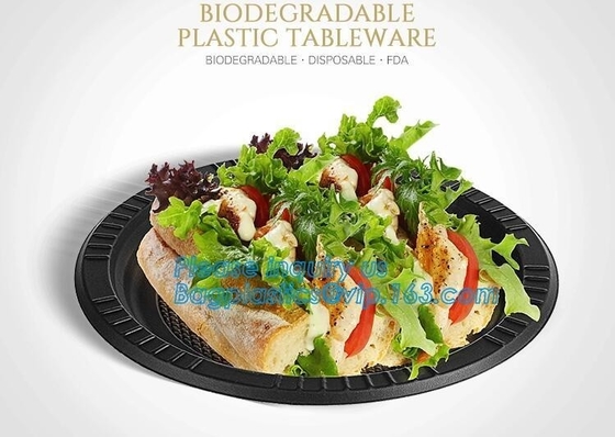 Online Shopping 10 Inch Biodegradable Disposable Sugarcane Bagasse Party Plate,Sugarcane Bagasse Paper Plate/Compostable