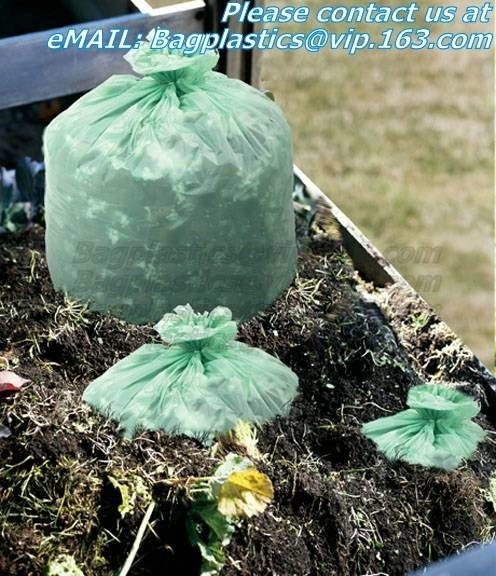 biodegradable product, bio bag, biodegradable custom logo print, Carrier Punch Hole Handle Shopping Plastic Die Cut Bag