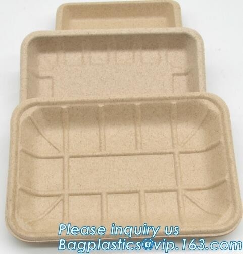 Dishes & Plates Dinnerware Blister packaging Resturant Disposable Food Serving Tray food disposable container