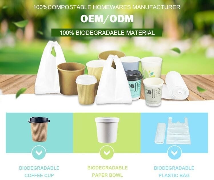 Made From Plants Customized wholesale biodegradable compostable pharmacy bag with singlet handle