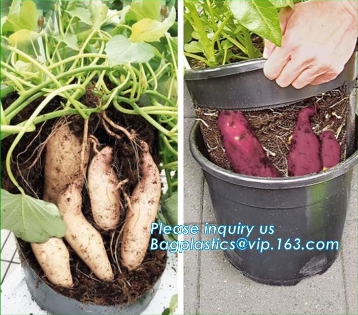 Tomato Potato Carrot Onion Peanut Growing Pot Garden Planter Pot,PP Potato Grow Pot Planting Bag, Bagplastics, Bagease